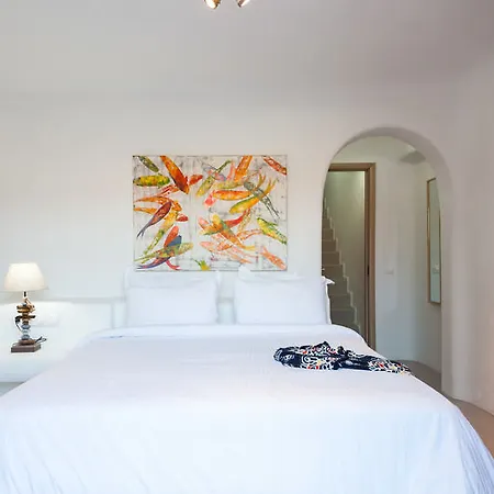 Willa Mykonos Panormos *