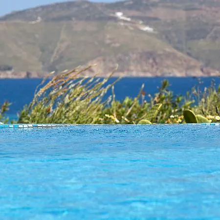 Willa Mykonos Panormos *