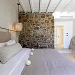 ヴィラ Mykonos Panormos &